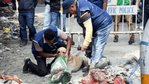 Kolkata Murder Shocks City