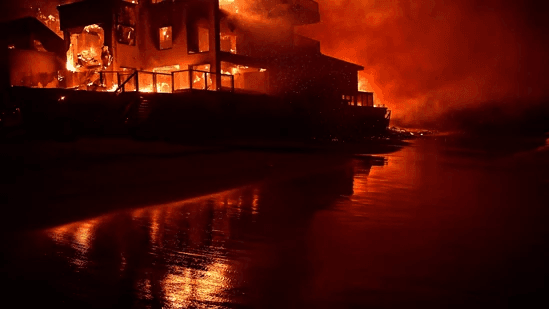 Los Angeles, Wildfires, Burs