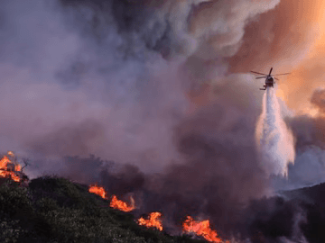 Los Angeles, Wildfire